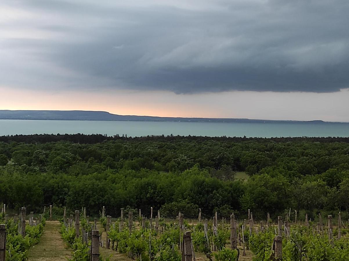 Napraszallas Vendeghaz Balatonakali Exterior photo