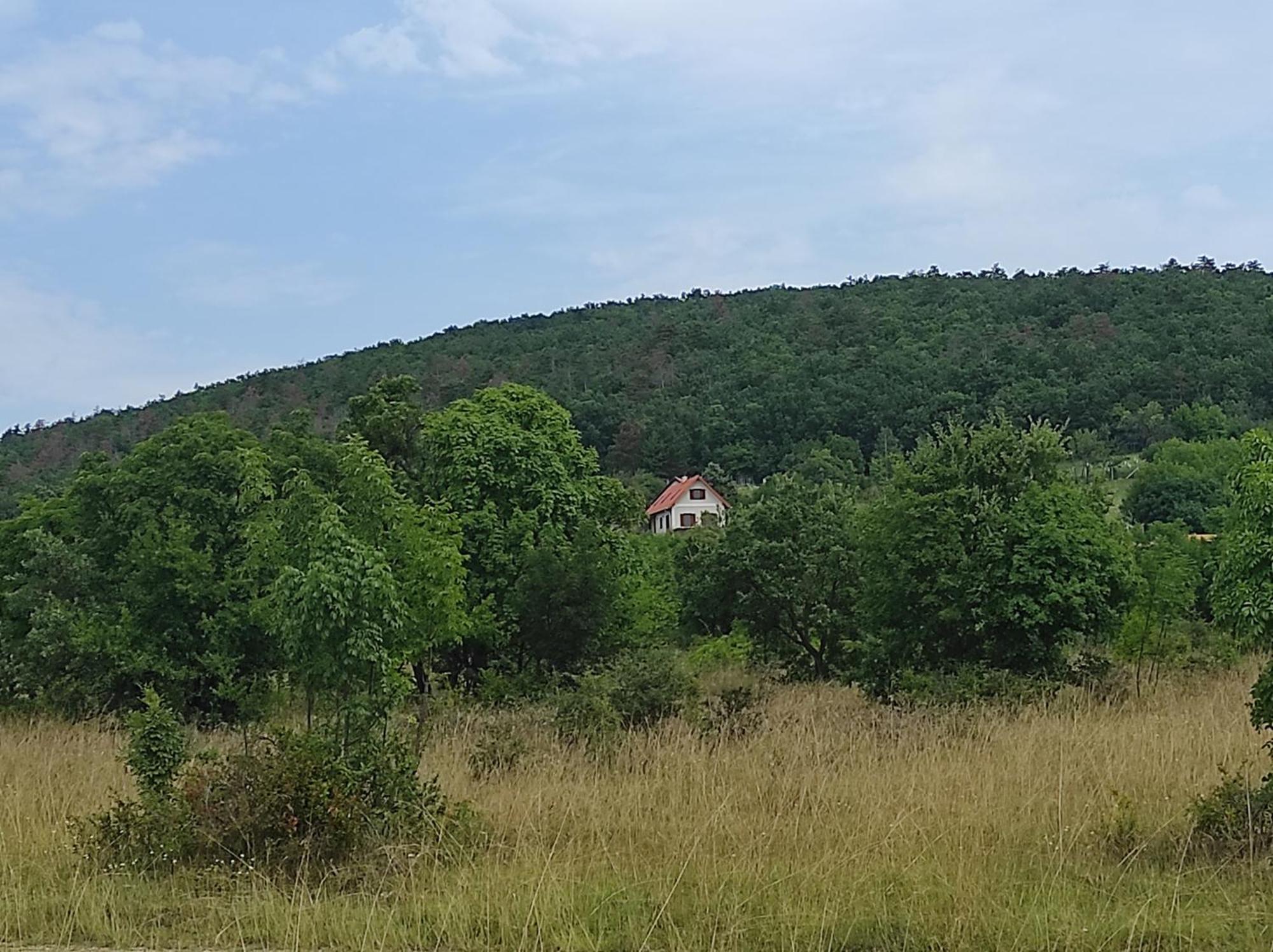 Napraszallas Vendeghaz Balatonakali Exterior photo